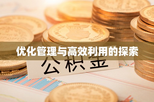 大名优化管理与高效利用的探索