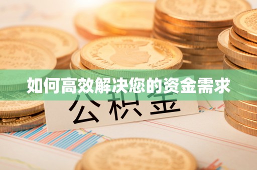 大名如何高效解决您的资金需求