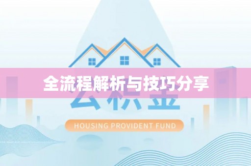 大名全流程解析与技巧分享